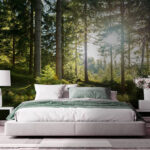 Fototapeta Słońce prześwitujące przez drzewa