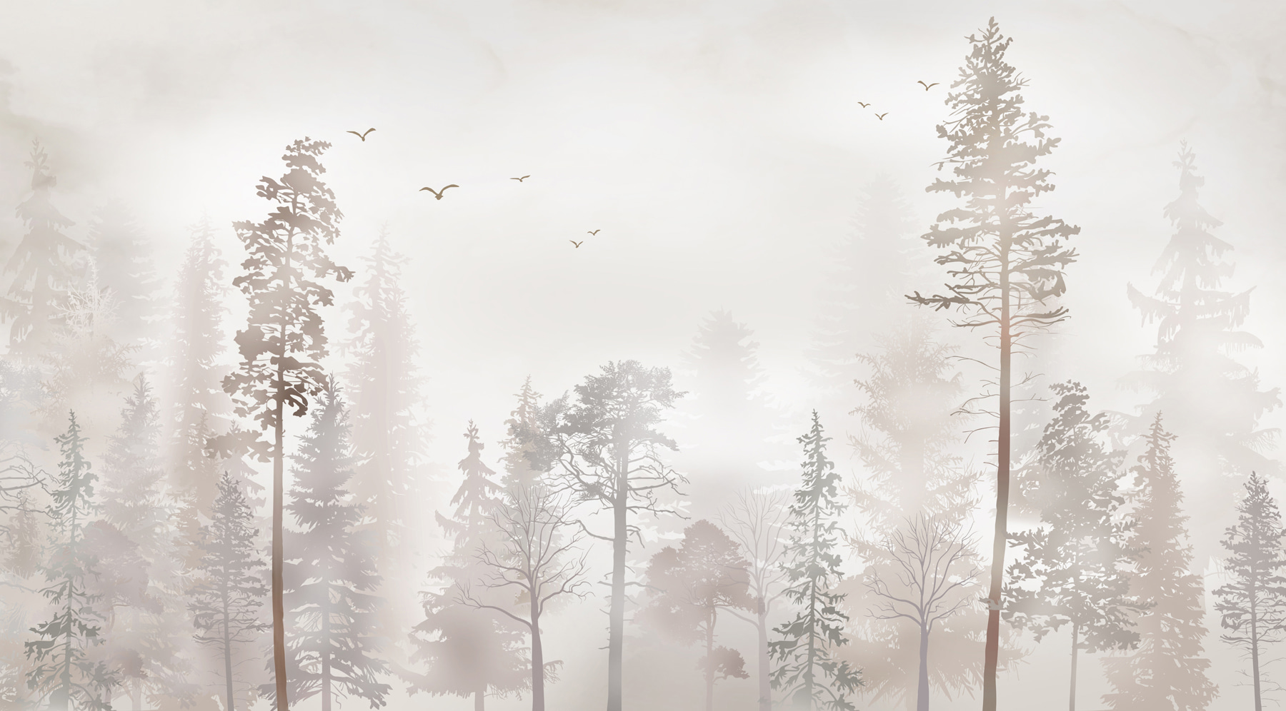 A group of trees in a foggy forest