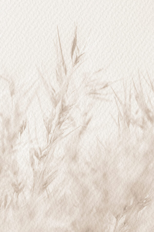 Soft nature in neutral tones Soft nature in neutral tones