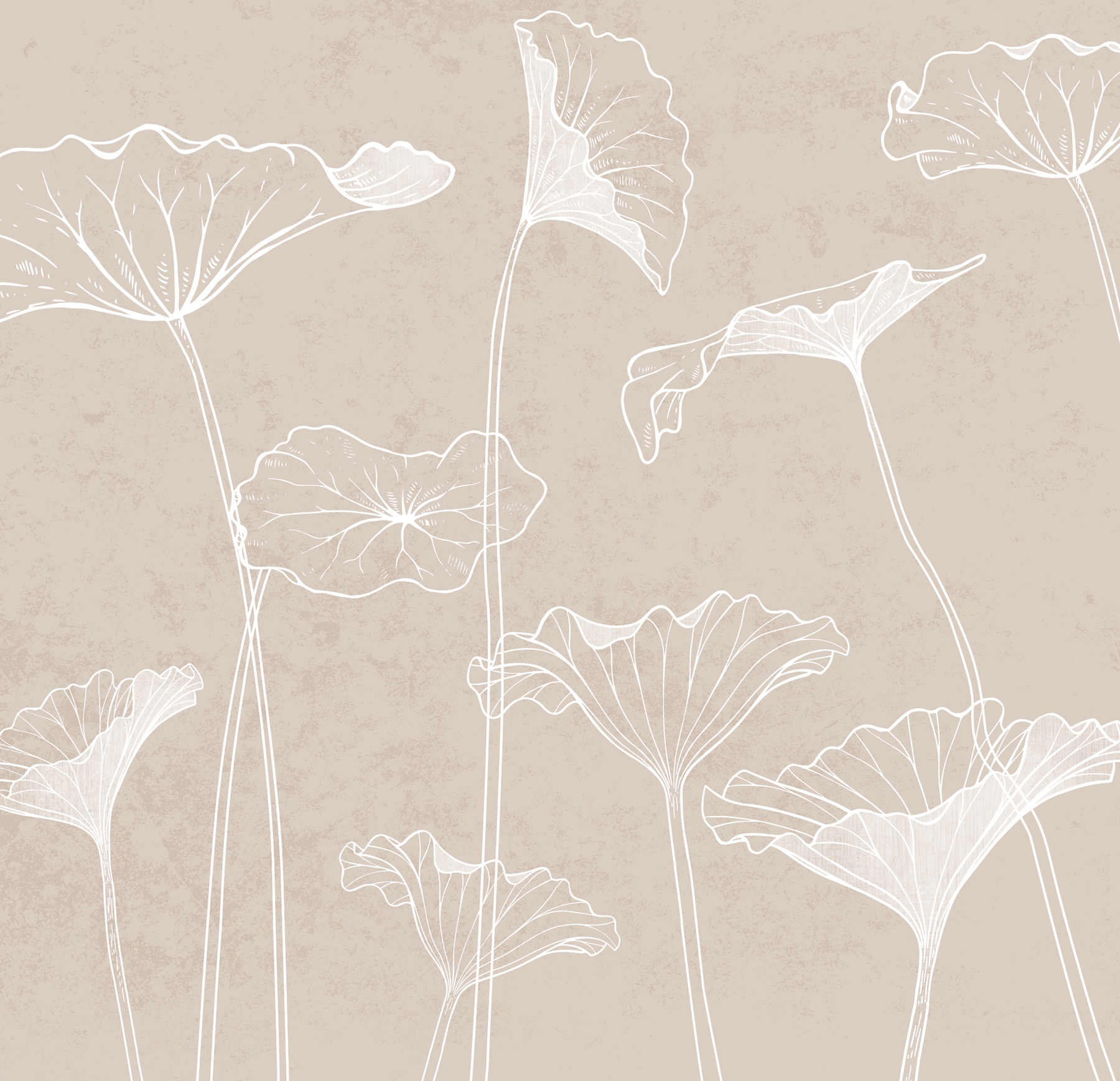 A white line drawing of flowers