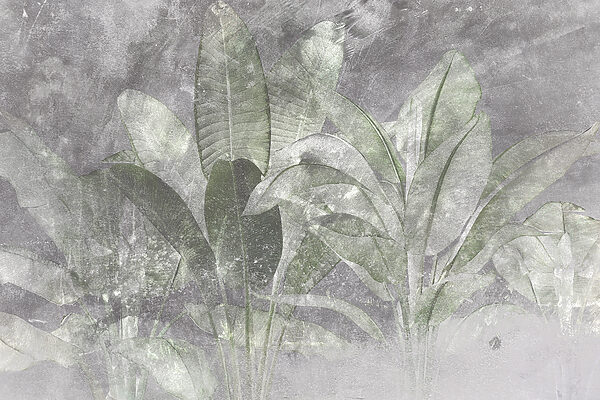 Botaniczna elegancja w miękkich teksturach. Botaniczna elegancja w miękkich teksturach.