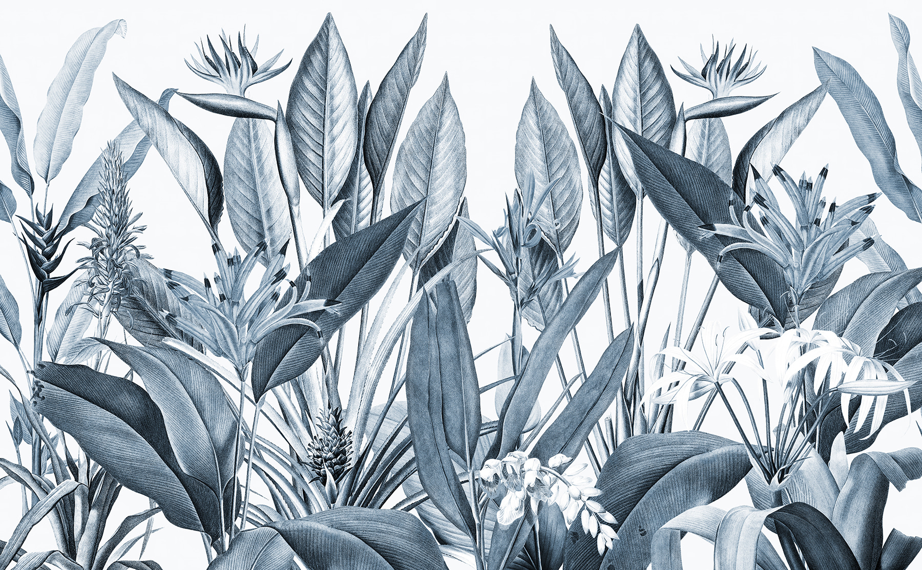 Tropical foliage in monochrome shades