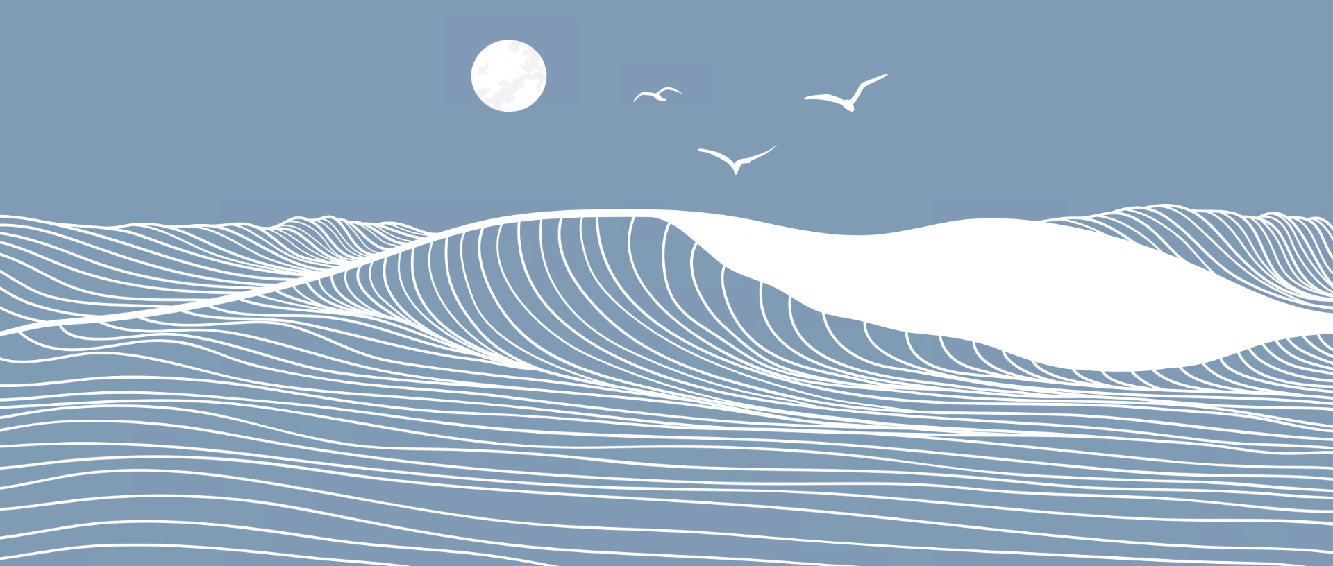 Waves and birds in the sky