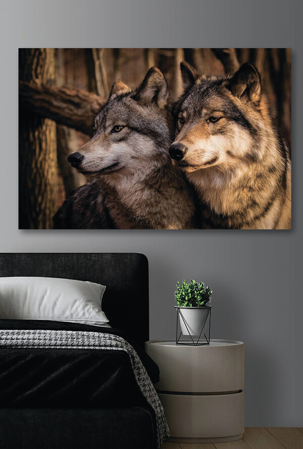 A couple of wolves in the woods A couple of wolves in the woods