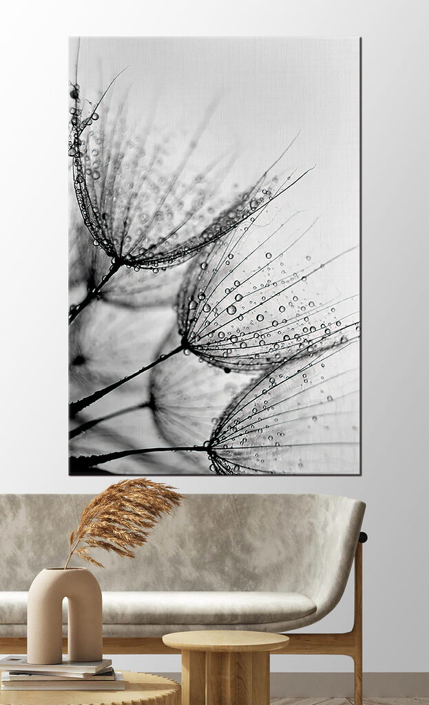 Close up of water droplets on seeds