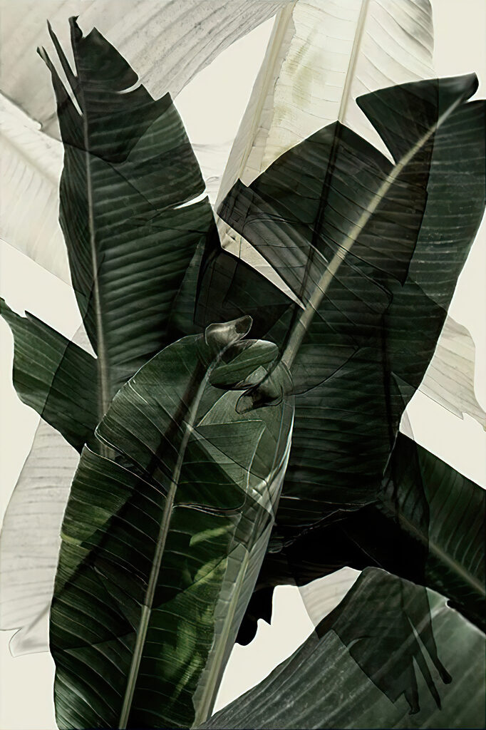 A close up of a plant