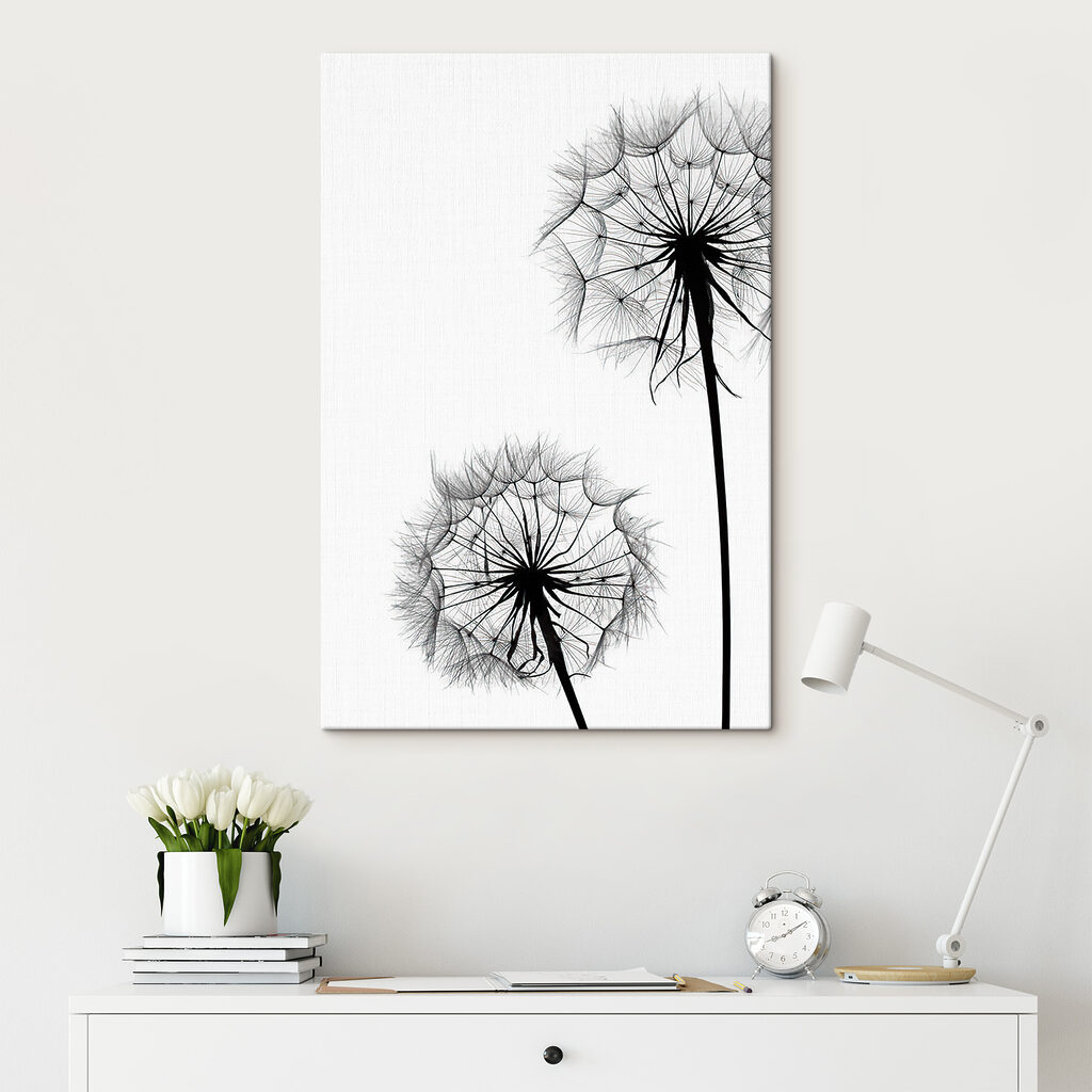 Delicate dandelions on a white background