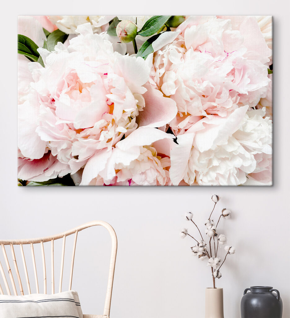 A group of pink flowers A group of pink flowers