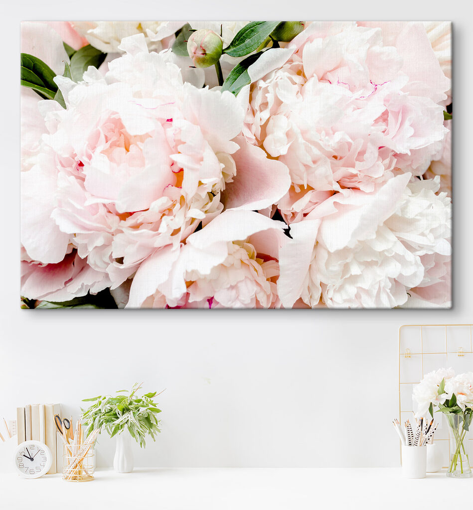 A group of pink flowers A group of pink flowers