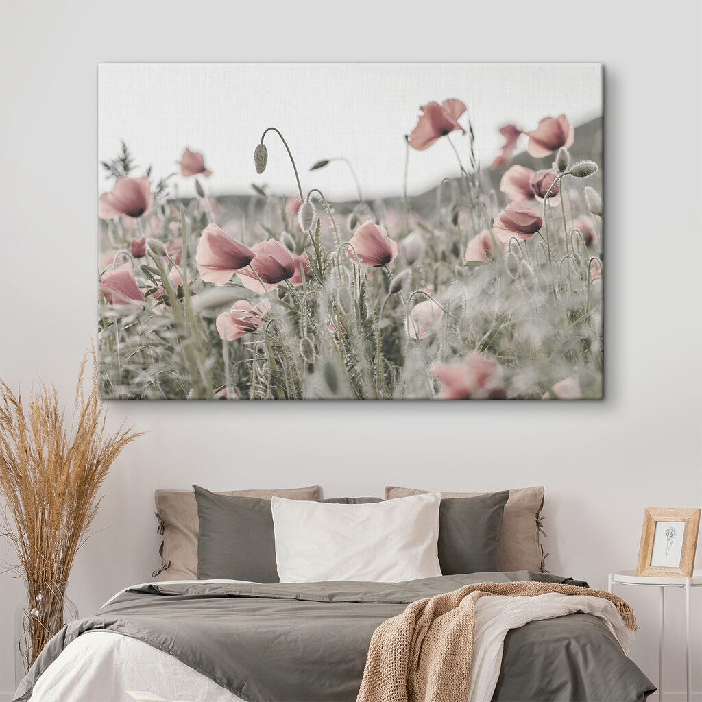 A field of pink flowers