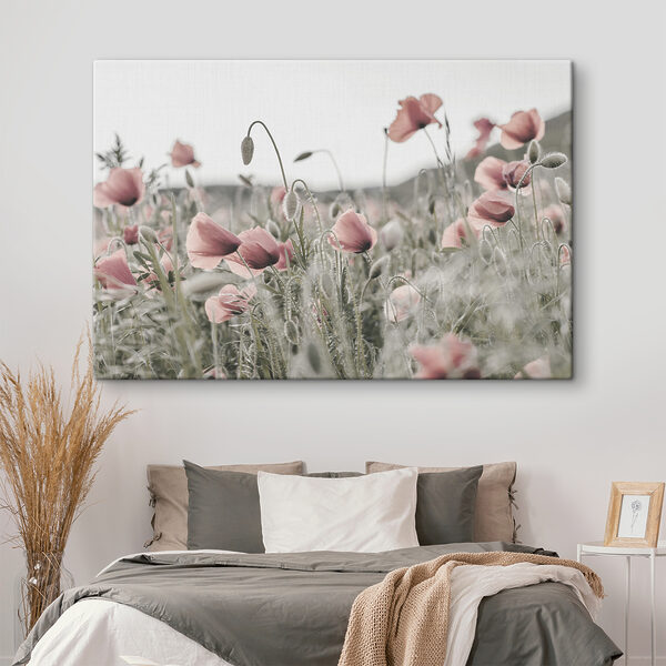 A field of pink flowers