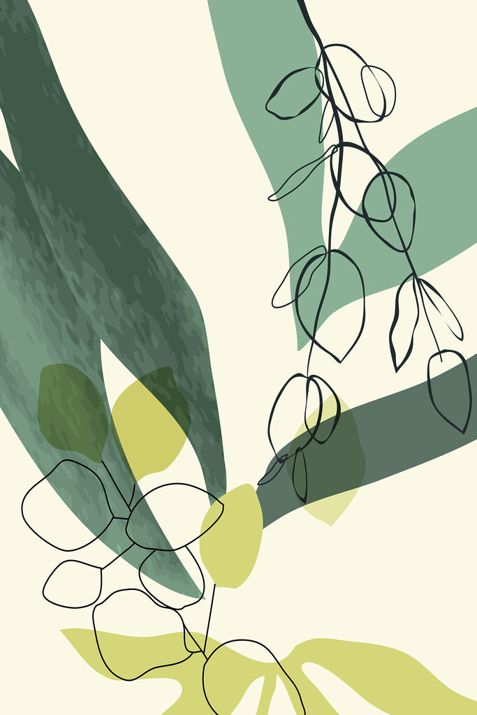 A drawing of a plant A drawing of a plant