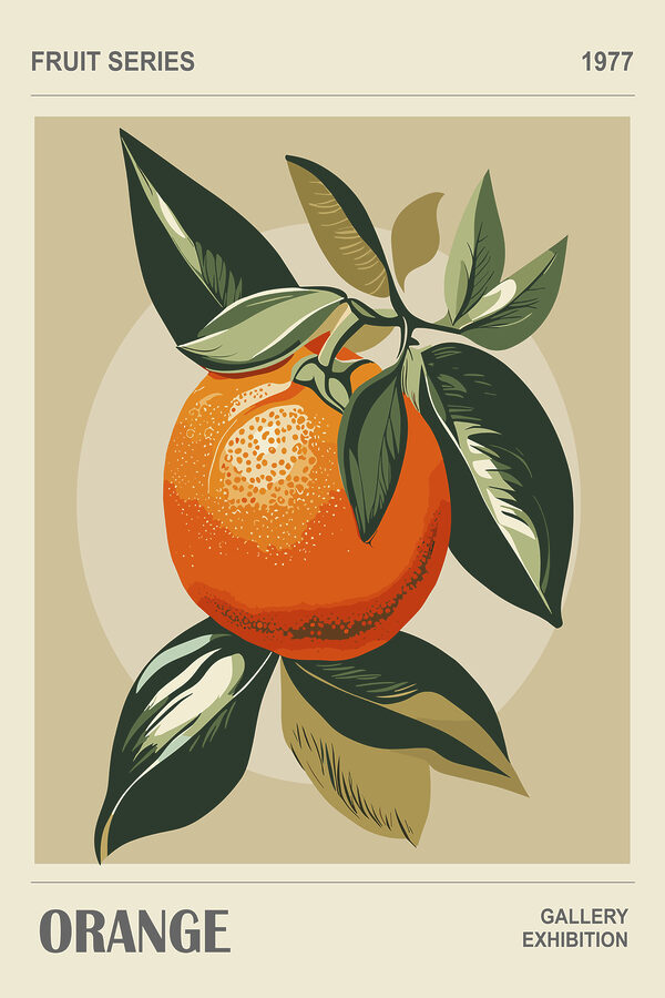 An orange with leaves on a branch An orange with leaves on a branch