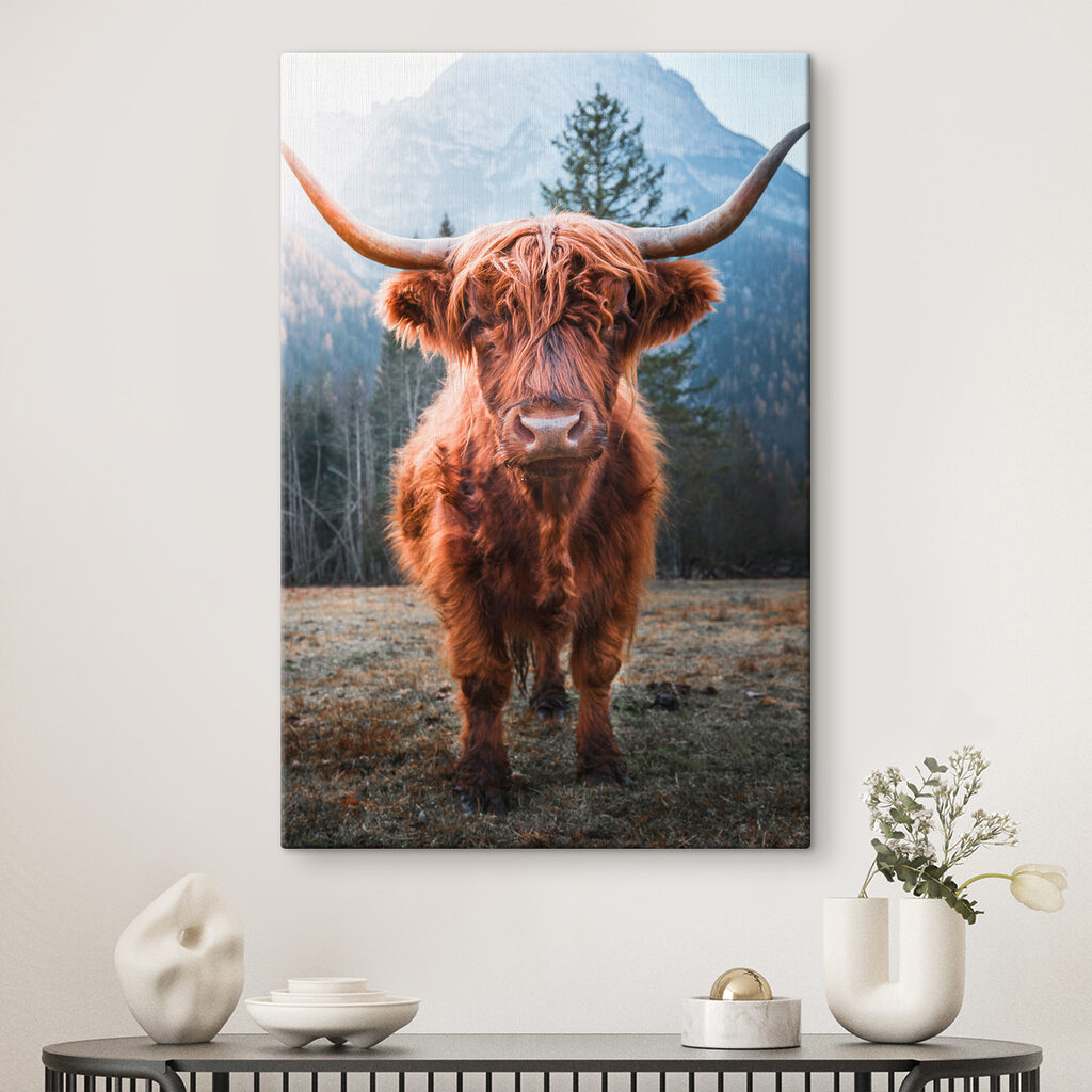 A yak with long horns standing in a field A yak with long horns standing in a field