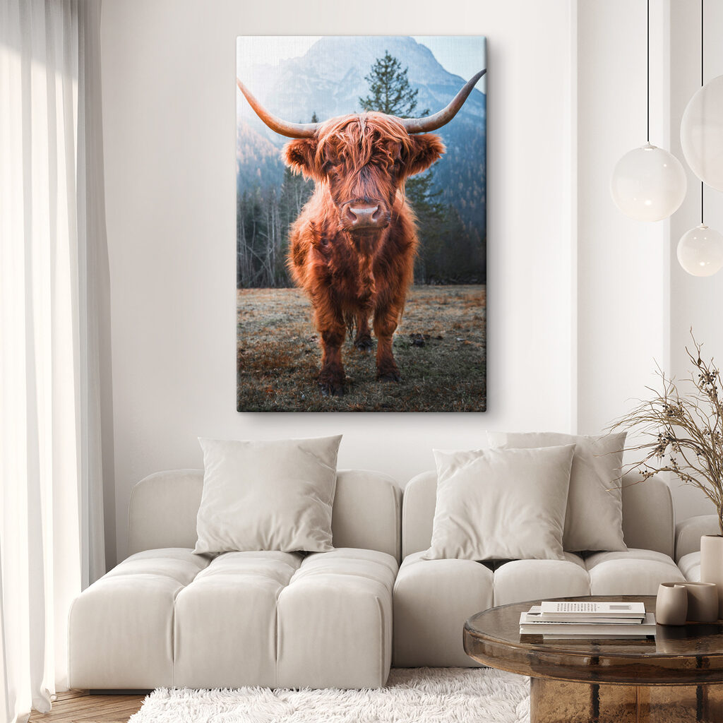 A yak with long horns standing in a field A yak with long horns standing in a field