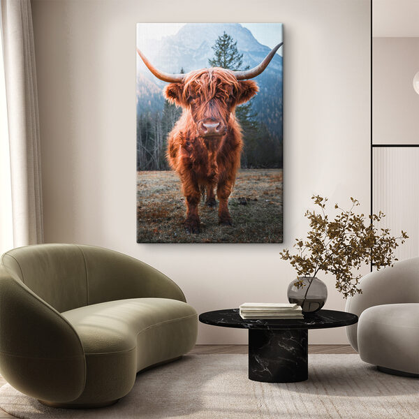 A yak with long horns standing in a field A yak with long horns standing in a field