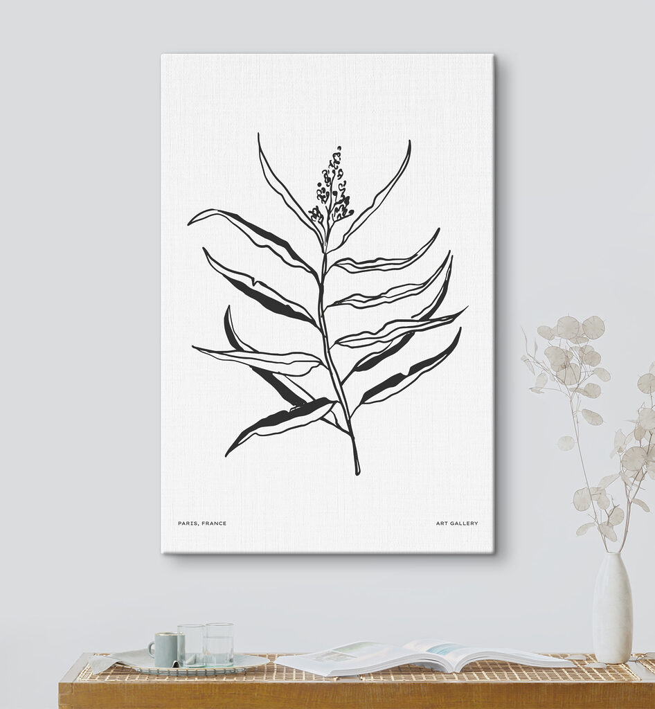 A black and white drawing of a plant