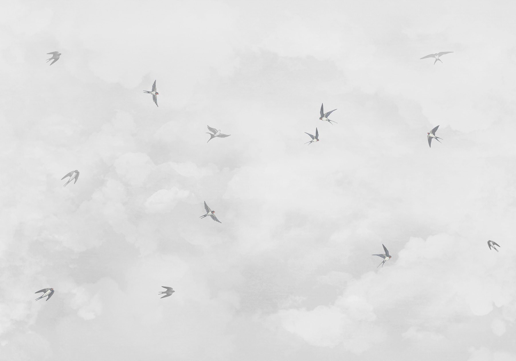 w00526v1p - Grupa ptaków lecących po niebie - tegory