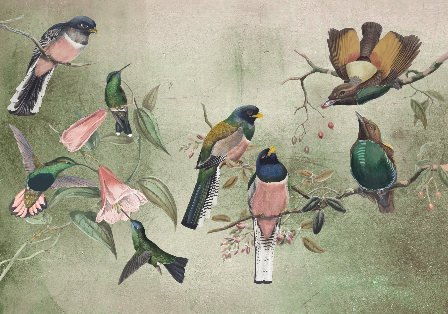 w00543p - Grupa ptaków na gałęzi - tegory