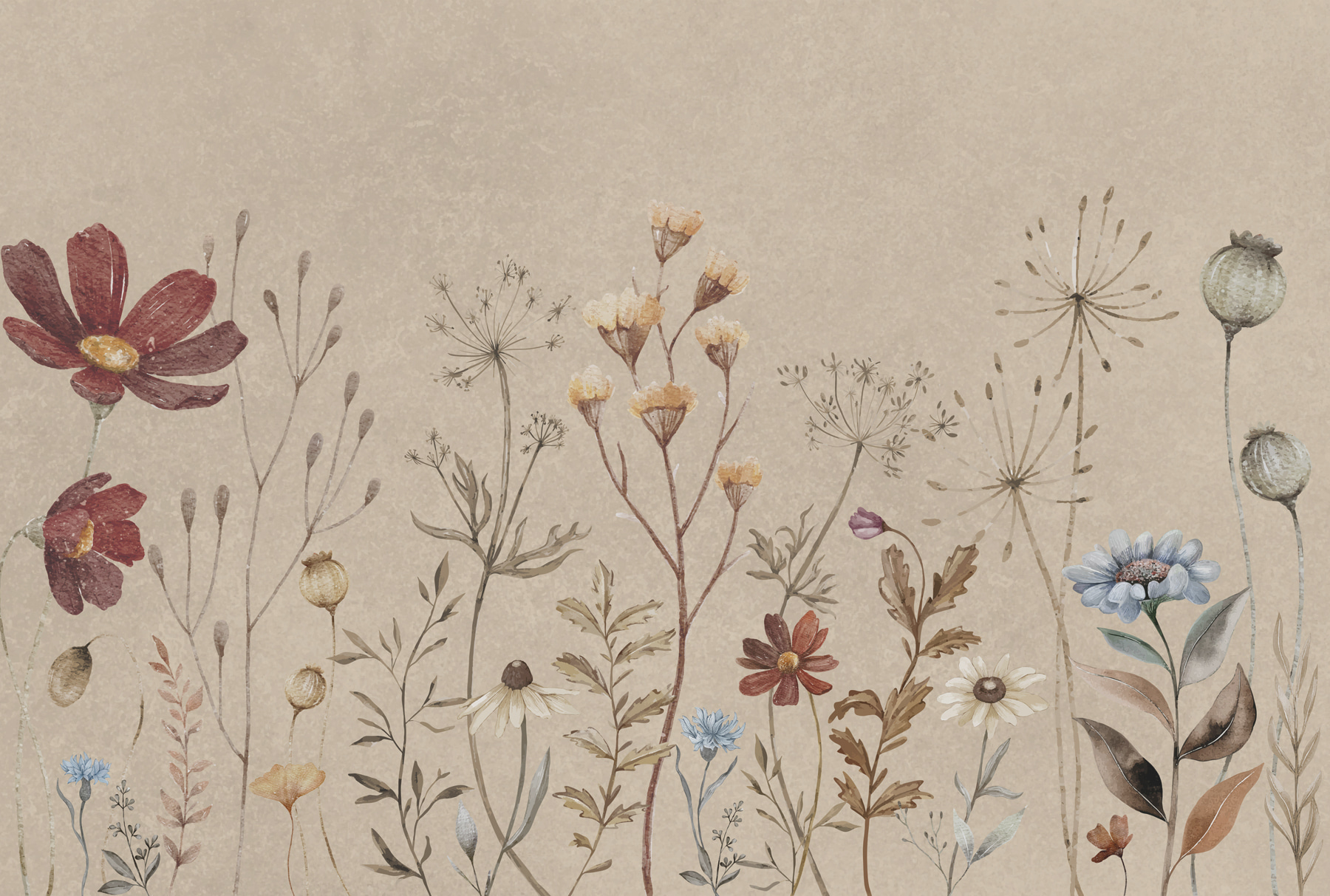 w00580p - Zbliżenie na kwiaty - tegory