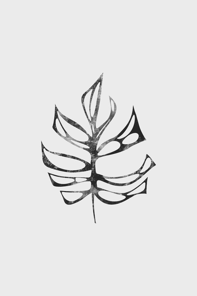 A black and white leaf