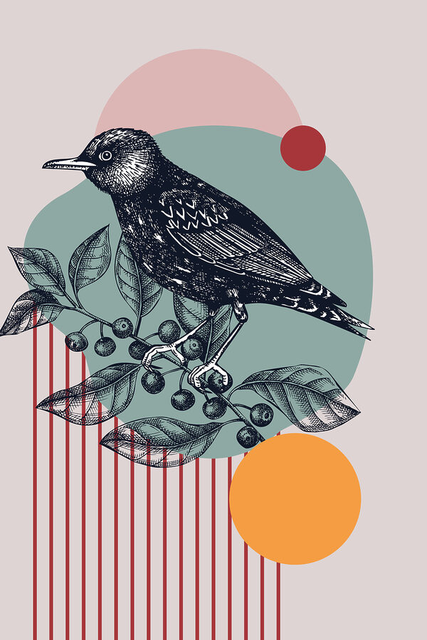 A bird on a branch