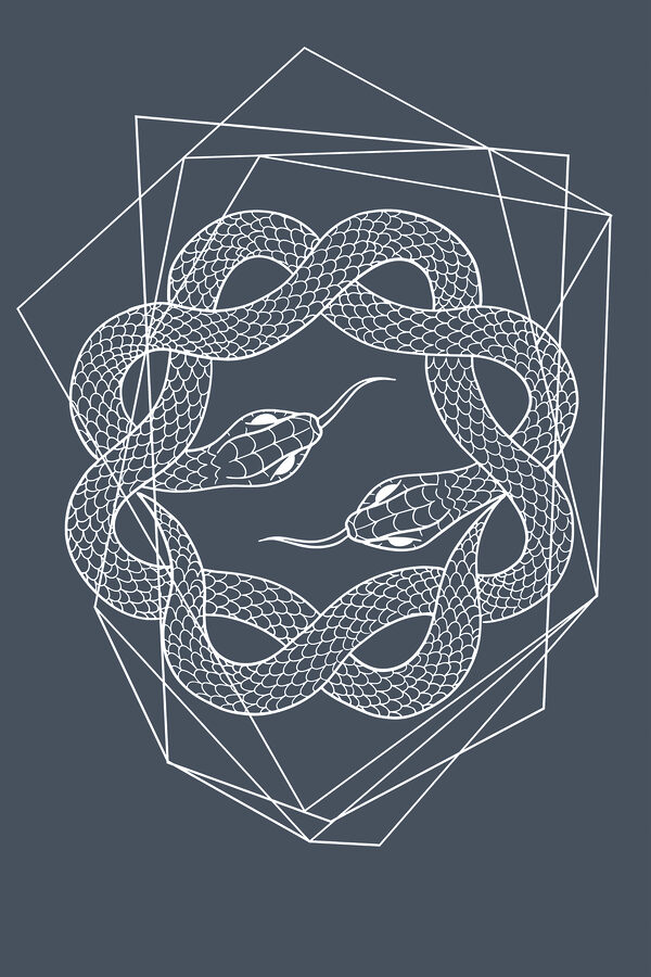 A white snake in a circle