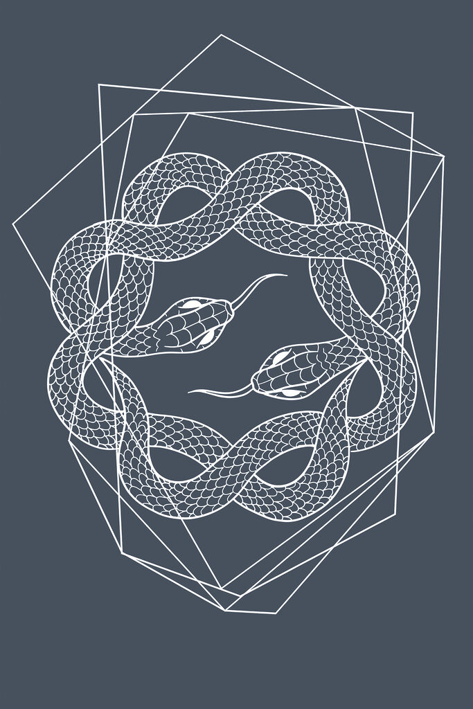 A white snake in a circle