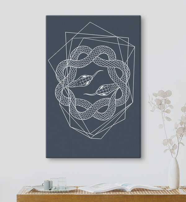A white snake in a circle