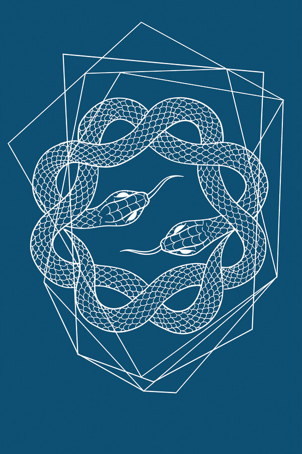 A white snake in a circle