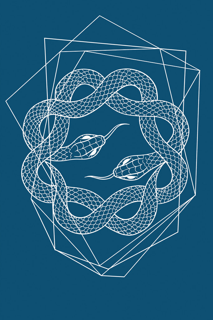 A white snake in a circle