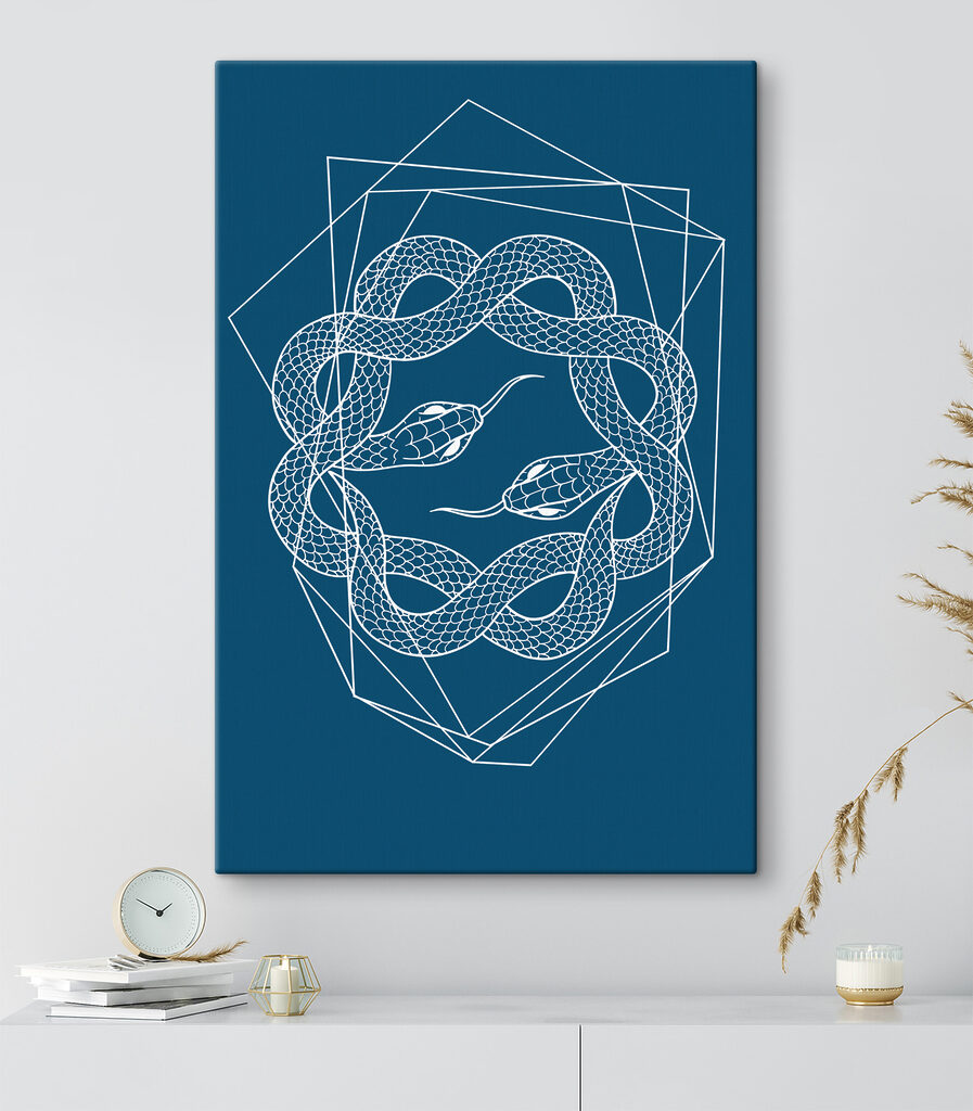 A white snake in a circle
