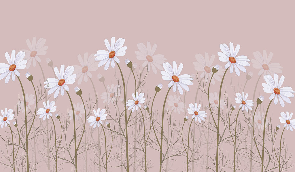 A group of white flowers