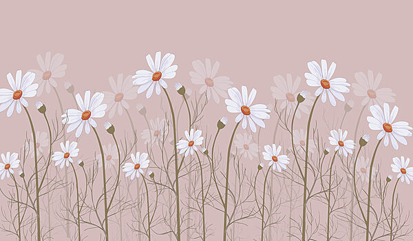 A group of white flowers