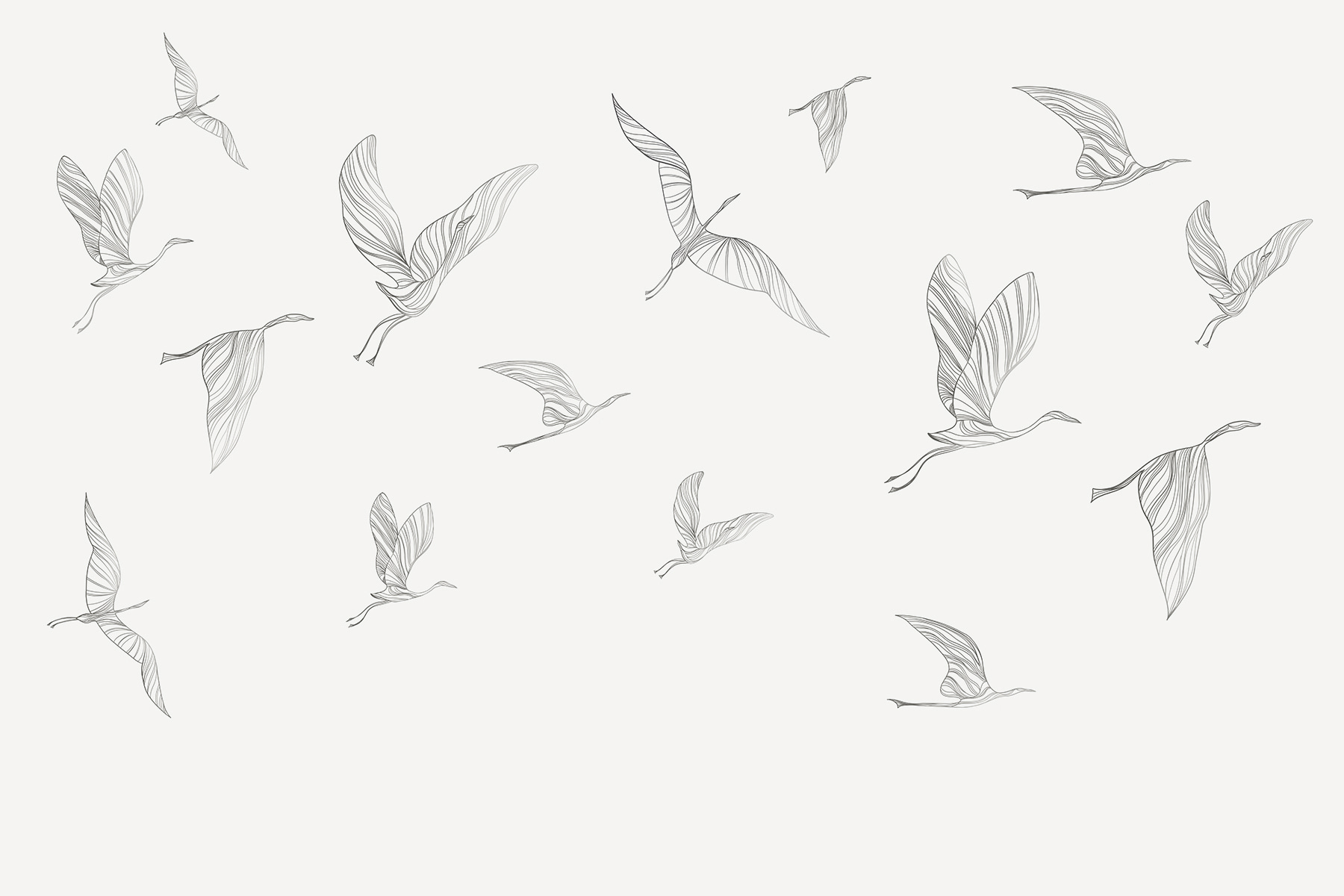 A group of birds flying A group of birds flying