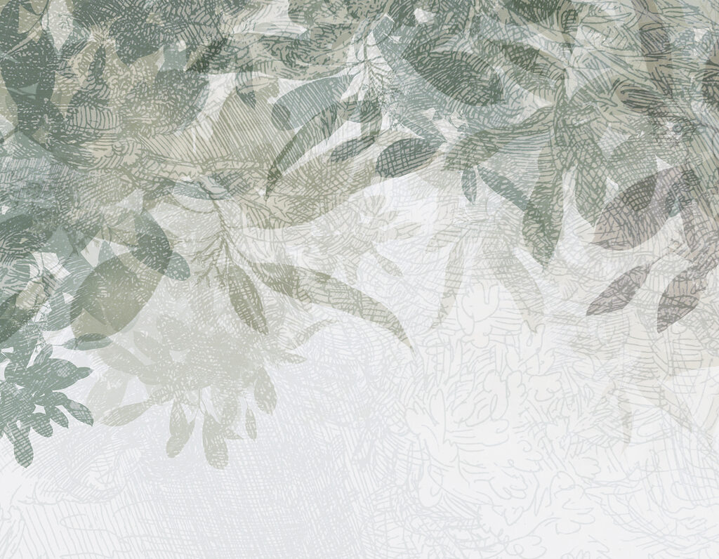 A close up of leaves