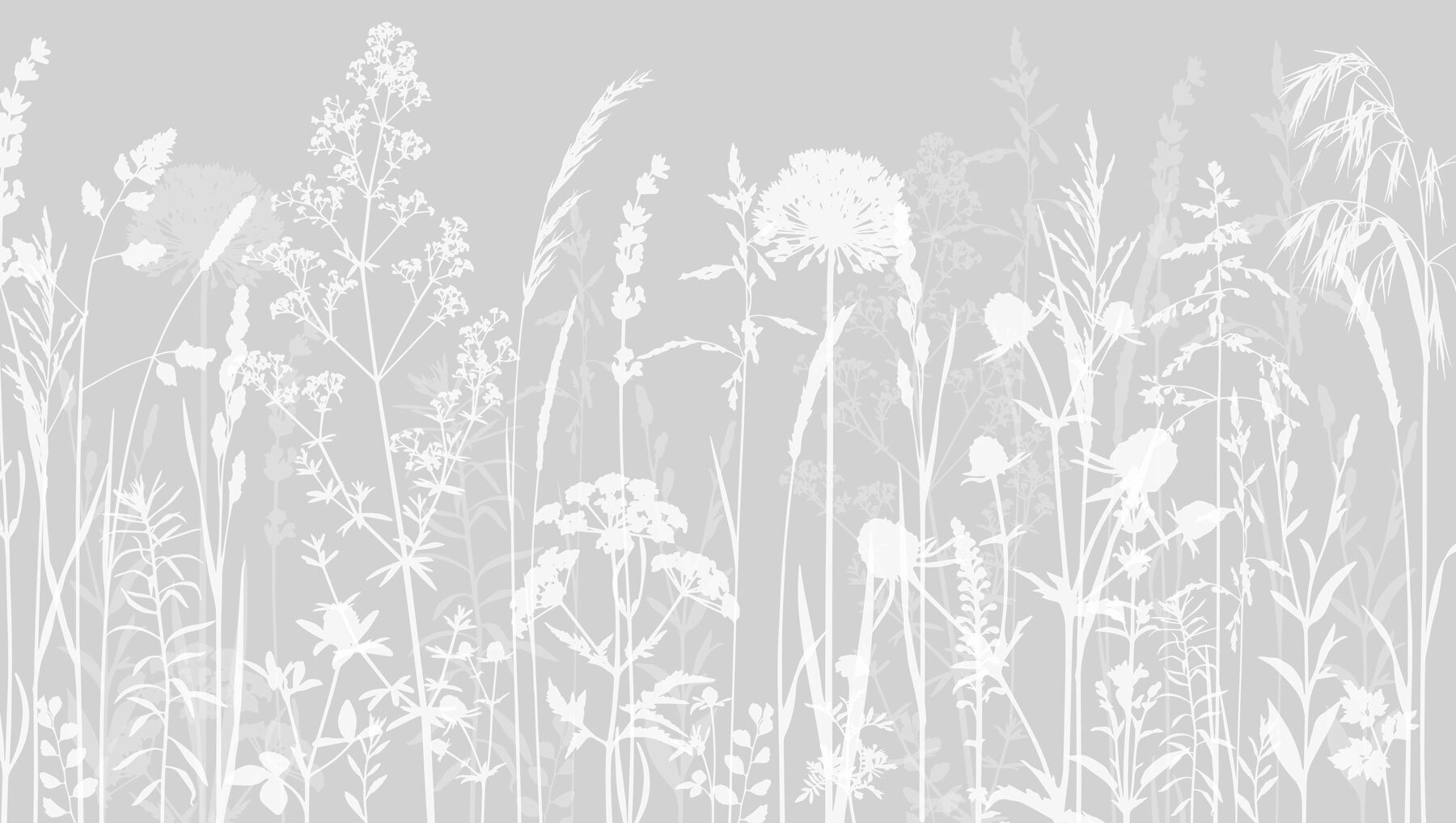 A white silhouettes of flowers