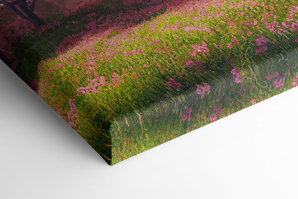 A field of pink flowers with trees A field of pink flowers with trees
