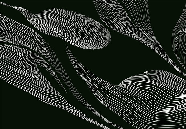 A white lines on a black background