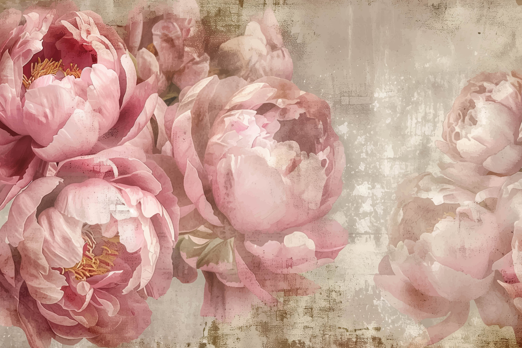 A group of pink flowers