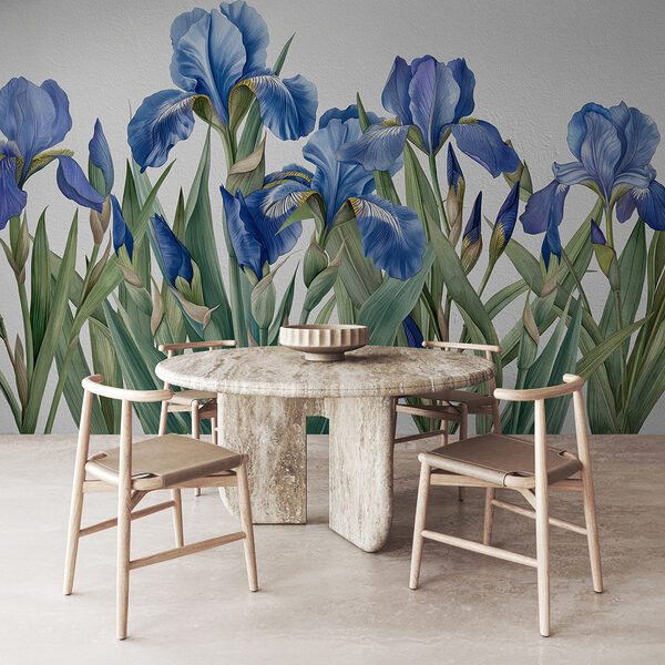 A group of blue flowers