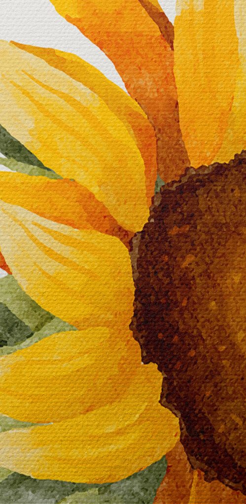 A close up of a sunflower