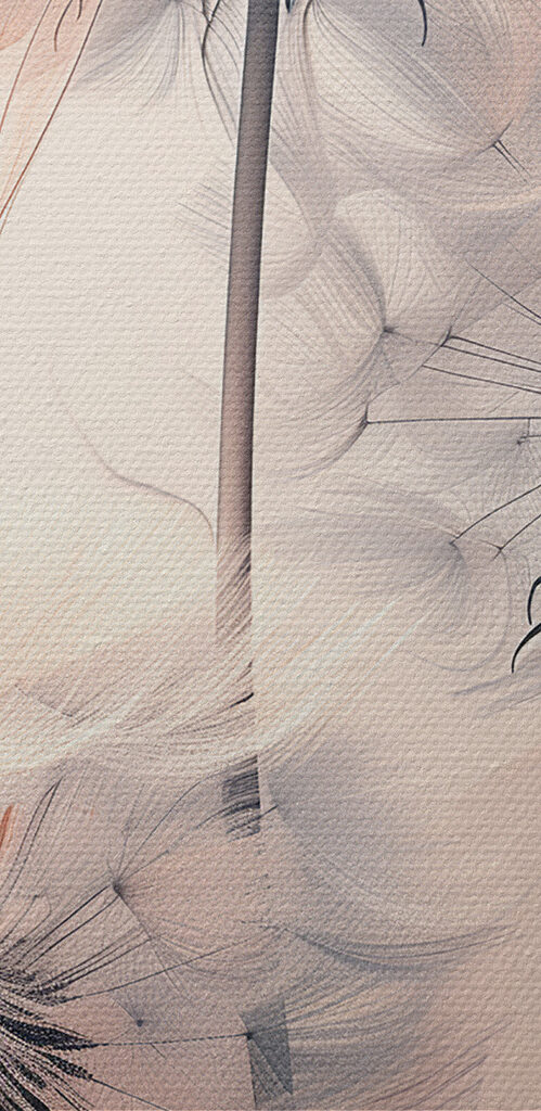 A group of dandelions with white and orange lines