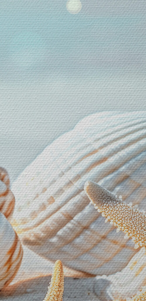A group of shells and starfish on sand