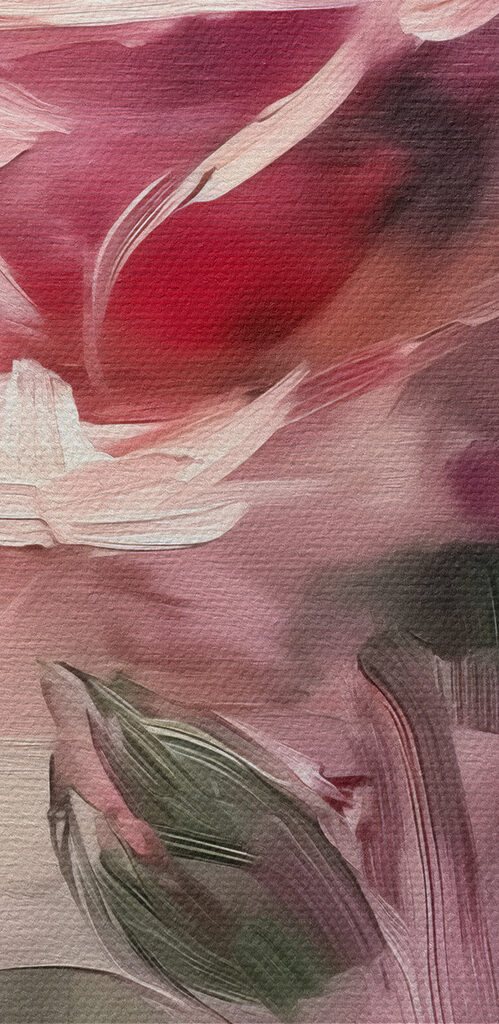 Delicate rose in soft hues