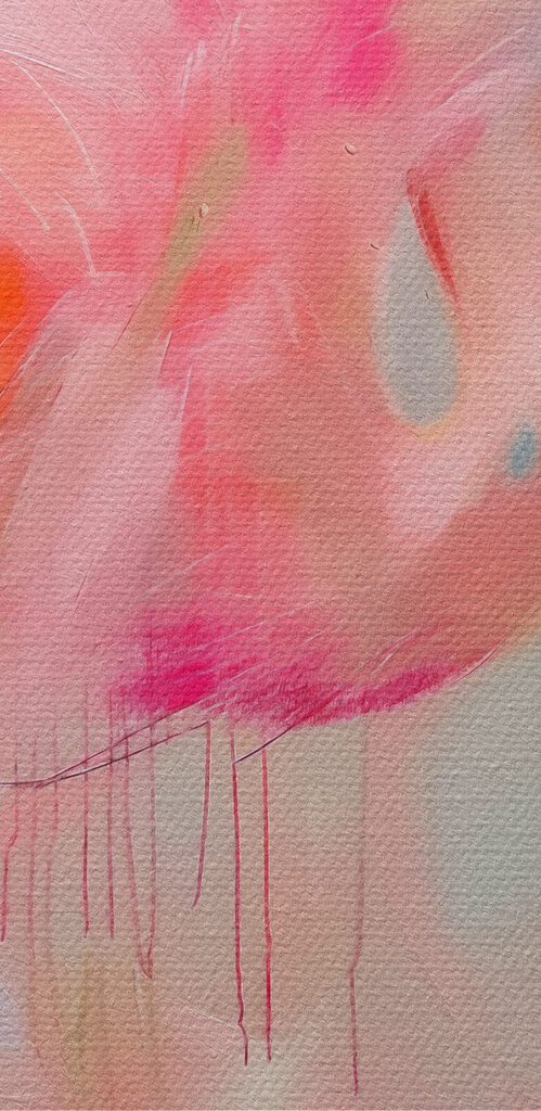 Pink flamingo with long legs