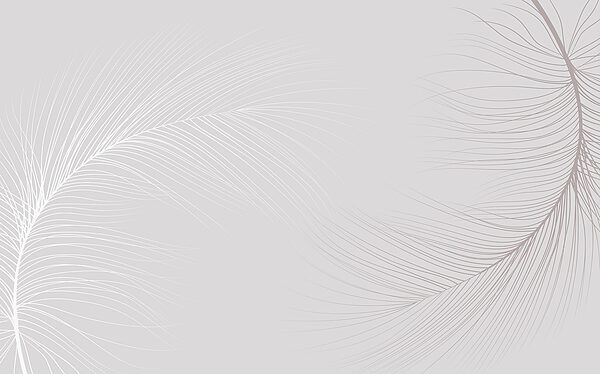 Białe tło z liniami Białe tło z liniami
