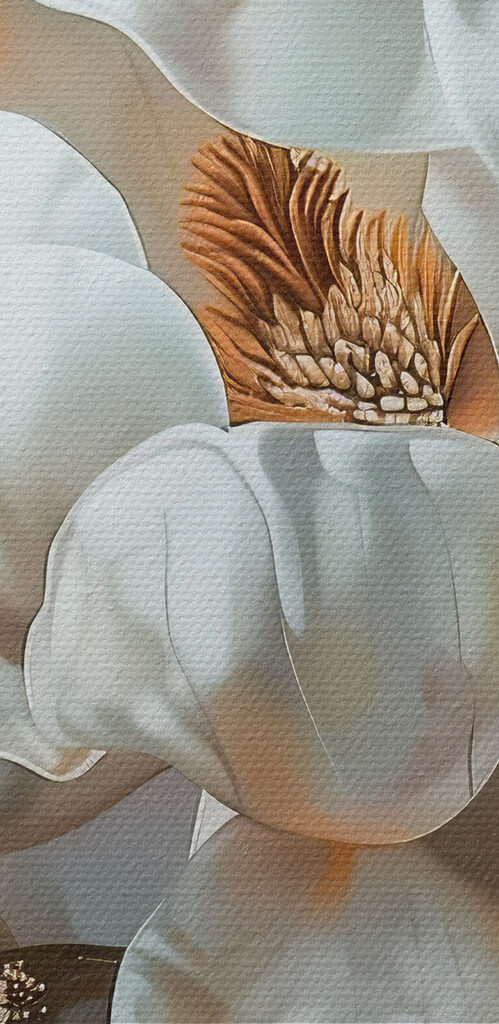 Painting of a white flower Painting of a white flower