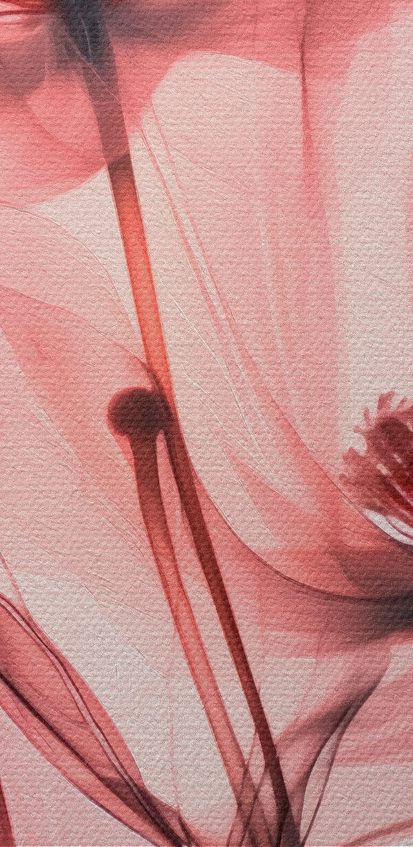 Zbliżenie na kwiaty Zbliżenie na kwiaty