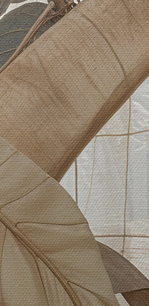 Nature-inspired design with soft colors Nature-inspired design with soft colors